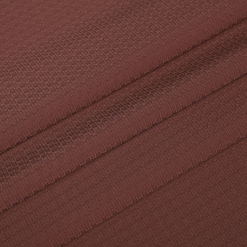 APJ1085 WARP متبكى Brocade Aminoathenian Jacquard Sports Polo Fabric